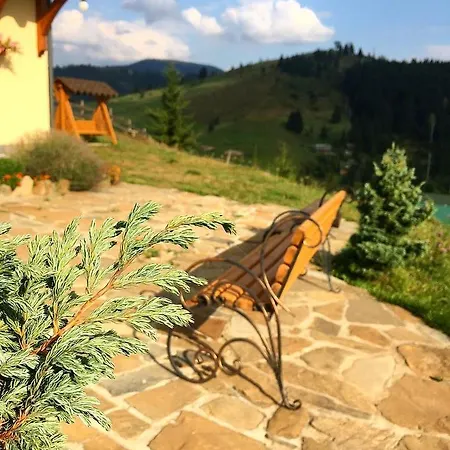 Country house Villa_vovkal *